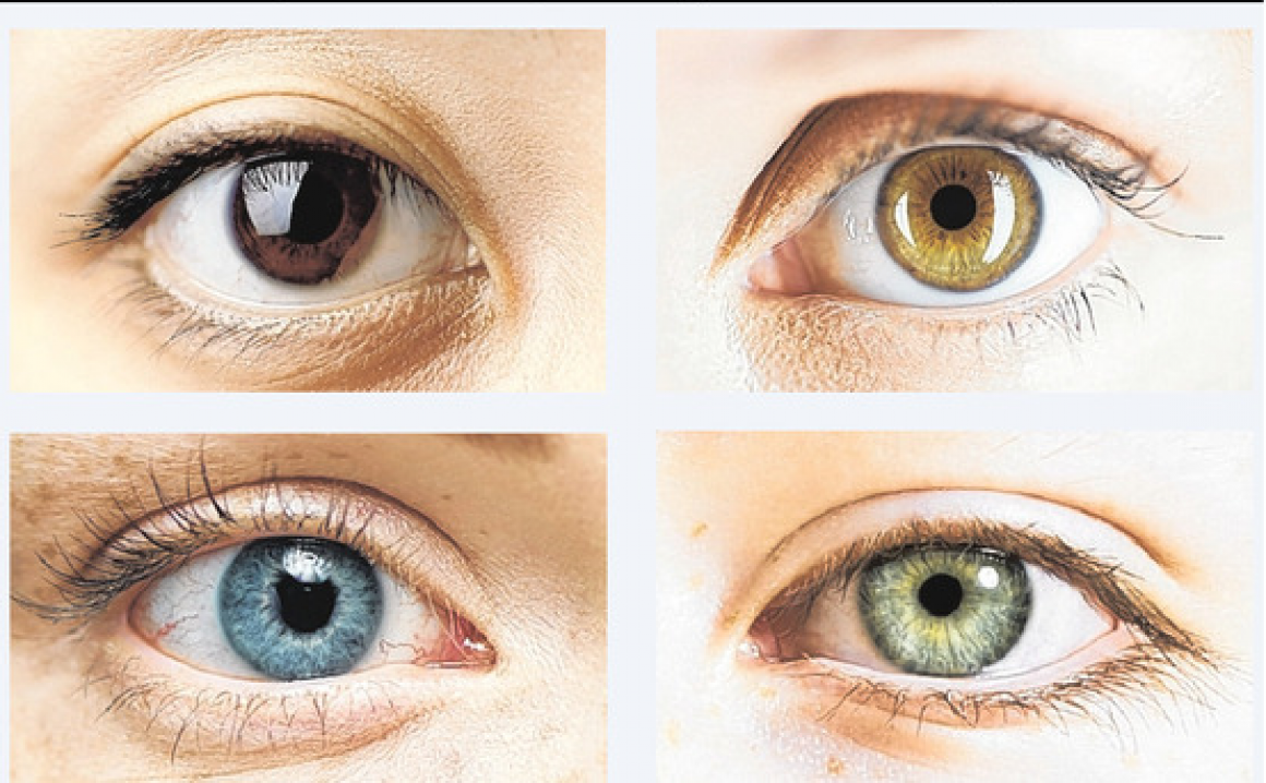 Цвет глаза зависит от пигмента. Цвета глаз у человека. Цвета глаз с названиями. Смесь цвета глаз. Генетика карие и зеленые глаза.